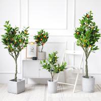 uploads/erp/collection/images/Home Garden/dgjiawang/XU0612796/img_b/XU0612796_img_b_2